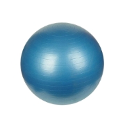 Synergy 75cm Anti-Burst Exercise Ball