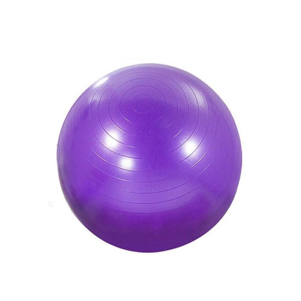 Picture of Synergy 55cm Anti-Burst Exercise Ball