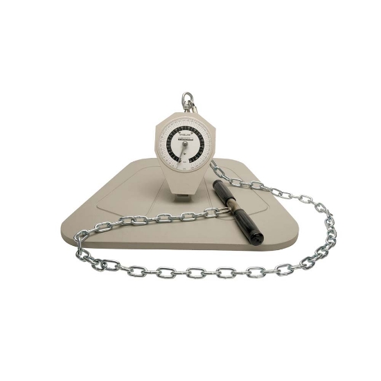 Saehan Back-Leg-Chest Dynamometer