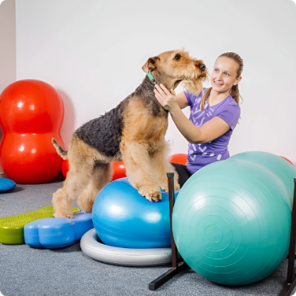 Picture for category Veterinary Products