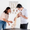 Flexible Vertebral Column Model with Female Pelvis