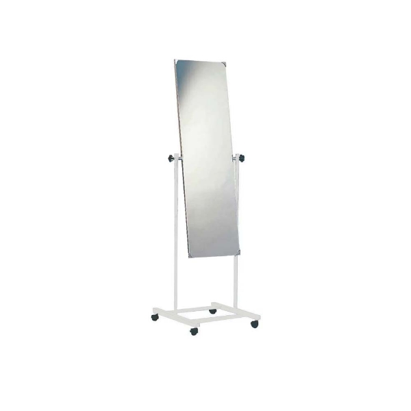 Mobile Posture Mirror