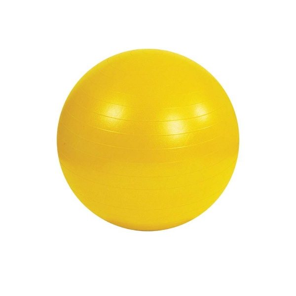 Synergy 120cm Anti-Burst Exercise Ball